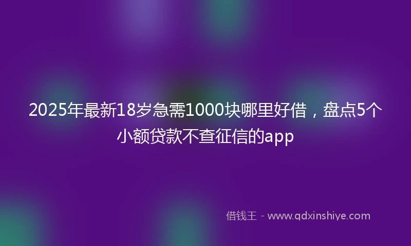 2025年最新18岁急需1000块哪里好借，盘点5个小额贷款不查征信的app