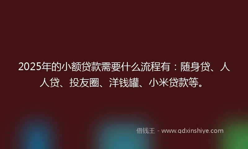 2025年的小额贷款需要什么流程有：随身贷、人人贷、投友圈、洋钱罐、小米贷款等。
