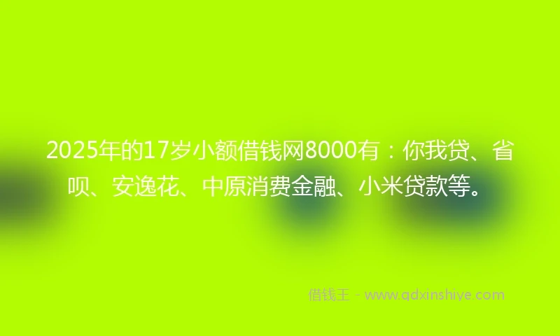 2025年的17岁小额借钱网8000有：你我贷、省呗、安逸花、中原消费金融、小米贷款等。