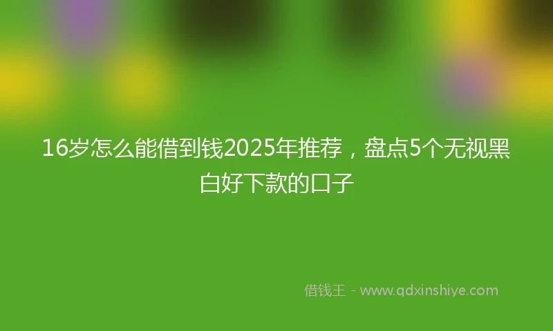 16岁怎么能借到钱2025年推荐，盘点5个无视黑白好下款的口子