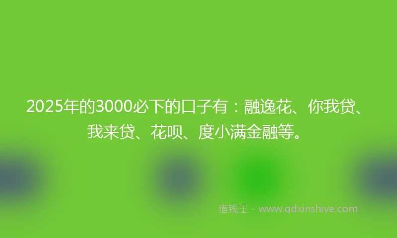 2025年的3000必下的口子有：融逸花、你我贷、我来贷、花呗、度小满金融等。