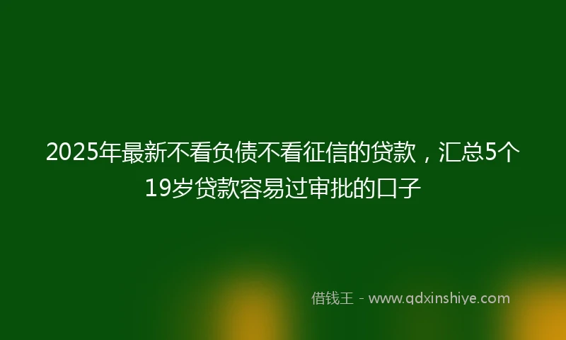 2025年最新不看负债不看征信的贷款，汇总5个19岁贷款容易过审批的口子