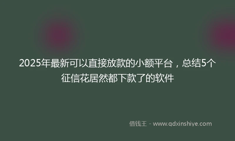 2025年最新可以直接放款的小额平台，总结5个征信花居然都下款了的软件
