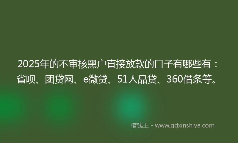 2025年的不审核黑户直接放款的口子有哪些有：省呗、团贷网、e微贷、51人品贷、360借条等。
