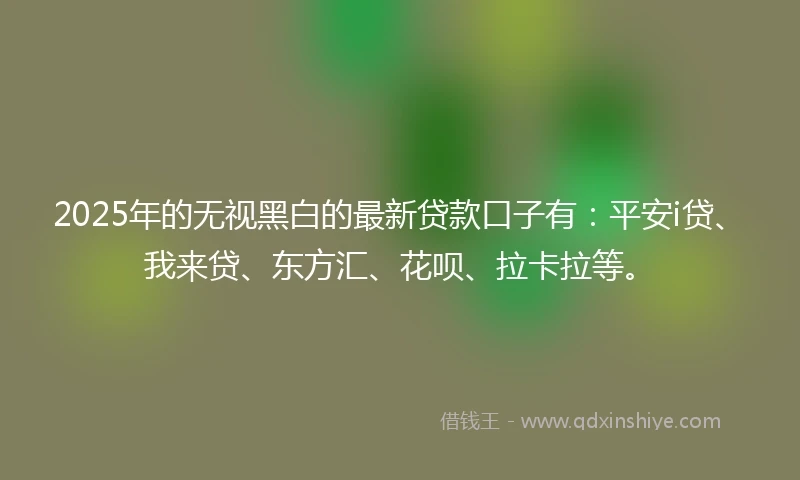 2025年的无视黑白的最新贷款口子有：平安i贷、我来贷、东方汇、花呗、拉卡拉等。