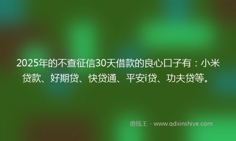 2025年的不查征信30天借款的良心口子有：小米贷款、好期贷、快贷通、平安i贷、功夫贷等。