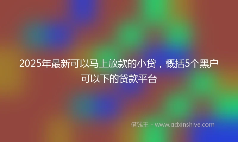 2025年最新可以马上放款的小贷，概括5个黑户可以下的贷款平台