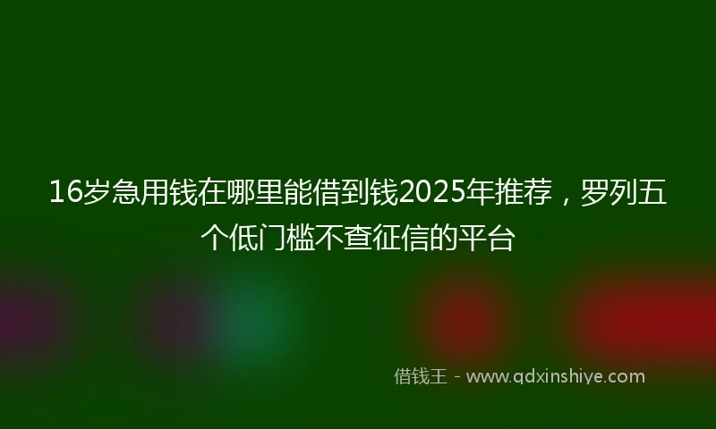 16岁急用钱在哪里能借到钱2025年推荐，罗列五个低门槛不查征信的平台