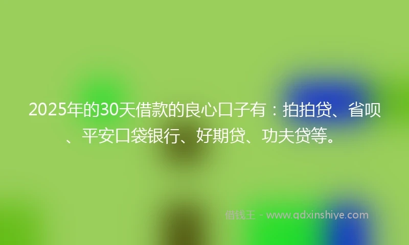 2025年的30天借款的良心口子有：拍拍贷、省呗、平安口袋银行、好期贷、功夫贷等。