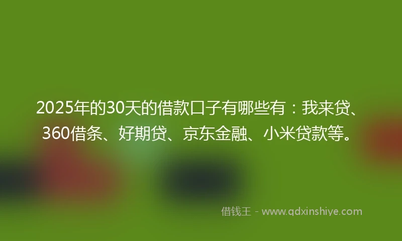 2025年的30天的借款口子有哪些有：我来贷、360借条、好期贷、京东金融、小米贷款等。