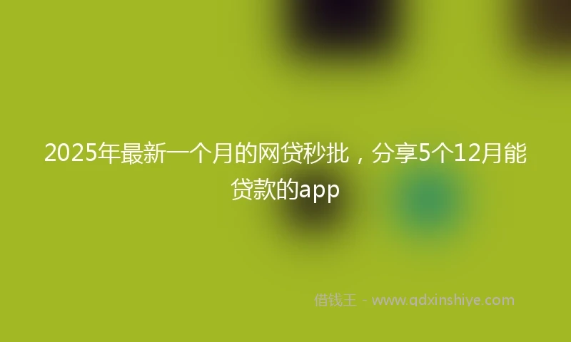 2025年最新一个月的网贷秒批，分享5个12月能贷款的app
