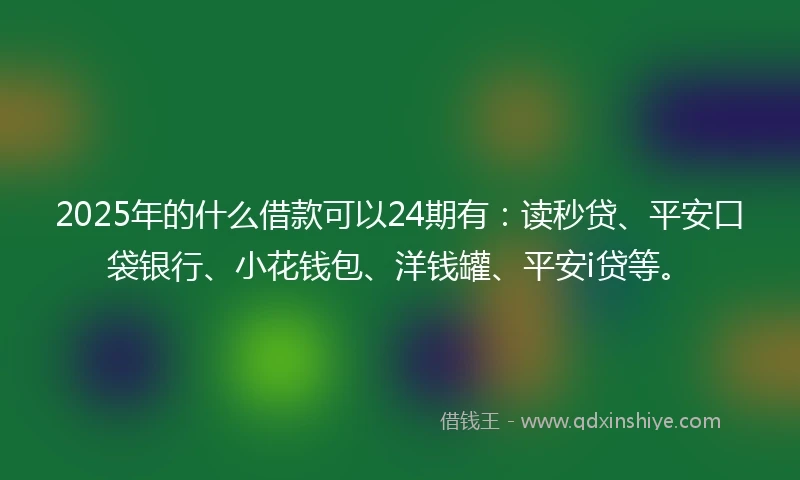 2025年的什么借款可以24期有：读秒贷、平安口袋银行、小花钱包、洋钱罐、平安i贷等。