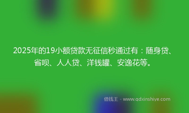 2025年的19小额贷款无征信秒通过有：随身贷、省呗、人人贷、洋钱罐、安逸花等。