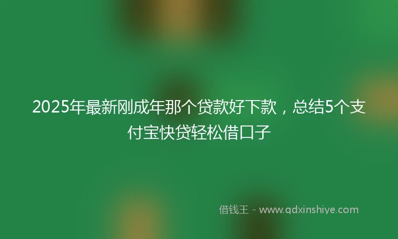 2025年最新刚成年那个贷款好下款，总结5个支付宝快贷轻松借口子