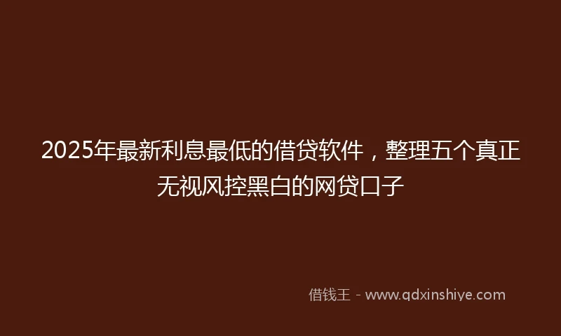 2025年最新利息最低的借贷软件，整理五个真正无视风控黑白的网贷口子