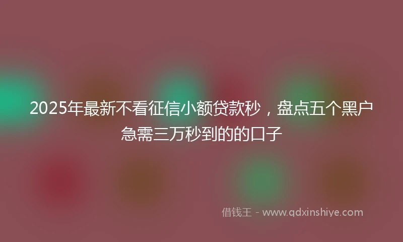 2025年最新不看征信小额贷款秒，盘点五个黑户急需三万秒到的的口子