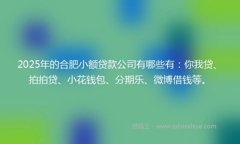 2025年的合肥小额贷款公司有哪些有：你我贷、拍拍贷、小花钱包、分期乐、微博借钱等。