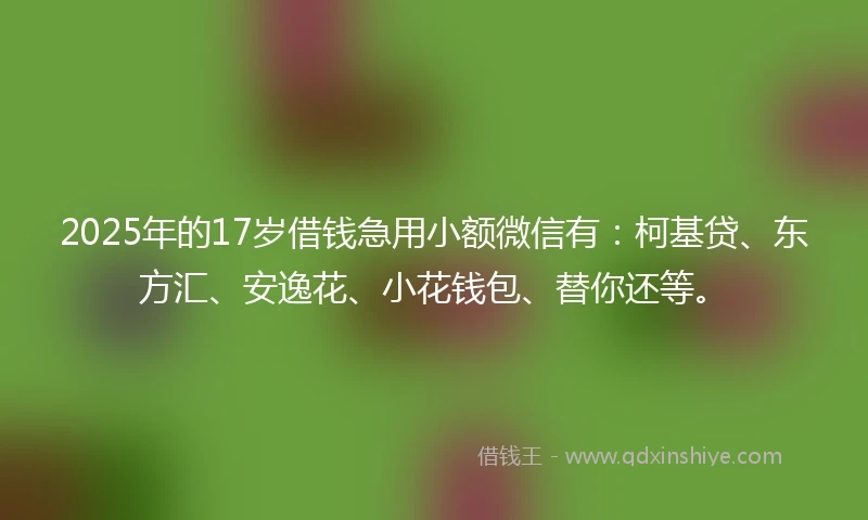 2025年的17岁借钱急用小额微信有：柯基贷、东方汇、安逸花、小花钱包、替你还等。