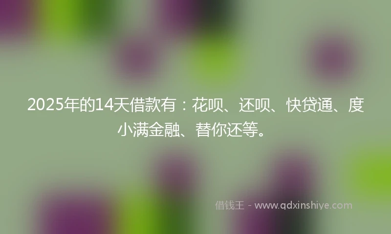 2025年的14天借款有：花呗、还呗、快贷通、度小满金融、替你还等。