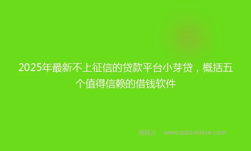 2025年最新不上征信的贷款平台小芽贷，概括五个值得信赖的借钱软件