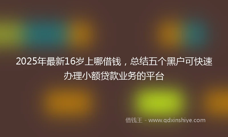 2025年最新16岁上哪借钱，总结五个黑户可快速办理小额贷款业务的平台