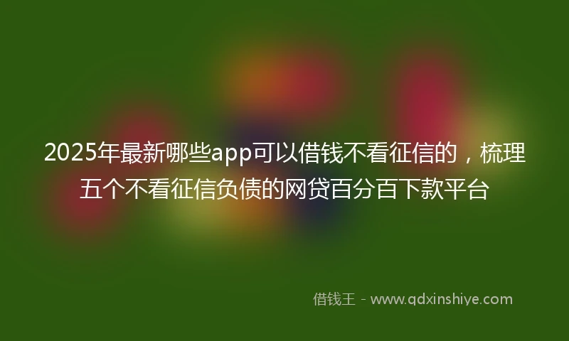 2025年最新哪些app可以借钱不看征信的，梳理五个不看征信负债的网贷百分百下款平台