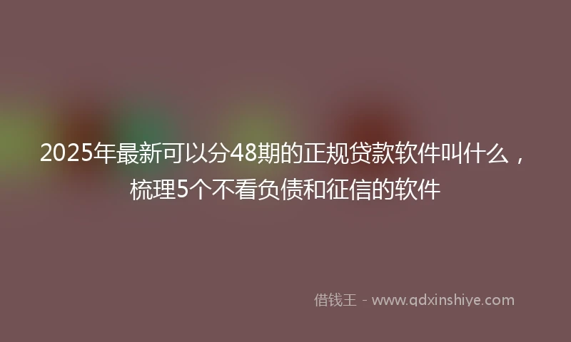 2025年最新可以分48期的正规贷款软件叫什么，梳理5个不看负债和征信的软件