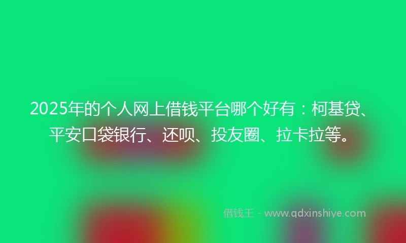 2025年的个人网上借钱平台哪个好有：柯基贷、平安口袋银行、还呗、投友圈、拉卡拉等。