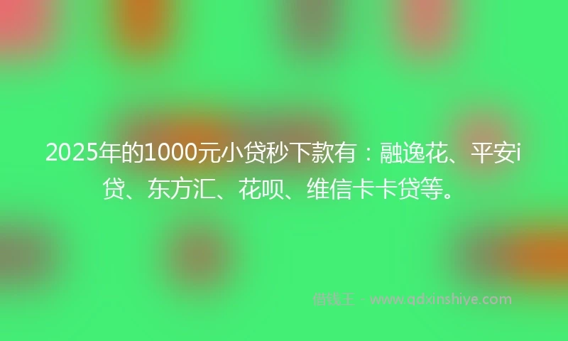 2025年的1000元小贷秒下款有：融逸花、平安i贷、东方汇、花呗、维信卡卡贷等。