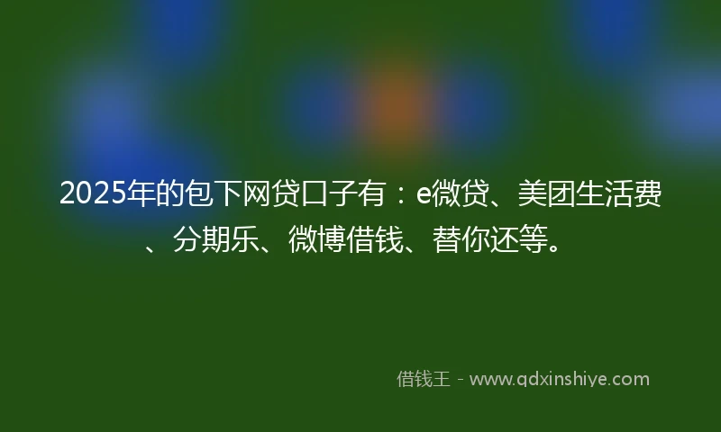 2025年的包下网贷口子有：e微贷、美团生活费、分期乐、微博借钱、替你还等。