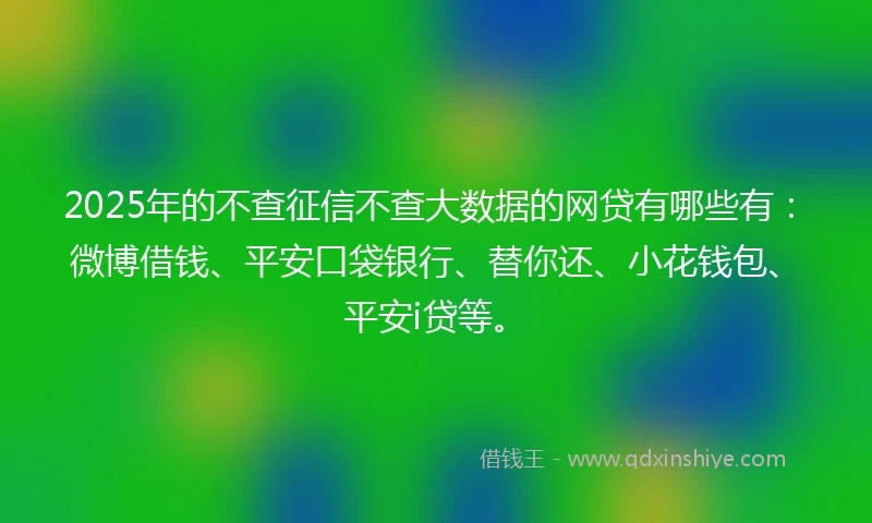 2025年的不查征信不查大数据的网贷有哪些有：微博借钱、平安口袋银行、替你还、小花钱包、平安i贷等。