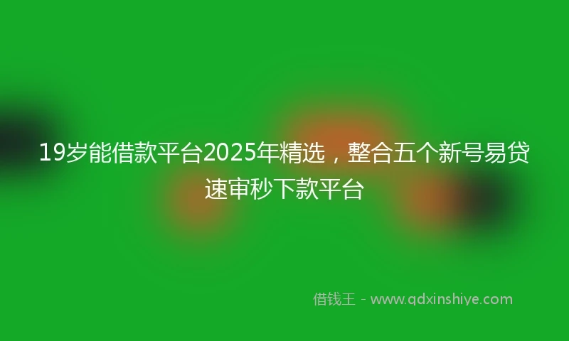 19岁能借款平台2025年精选，整合五个新号易贷速审秒下款平台