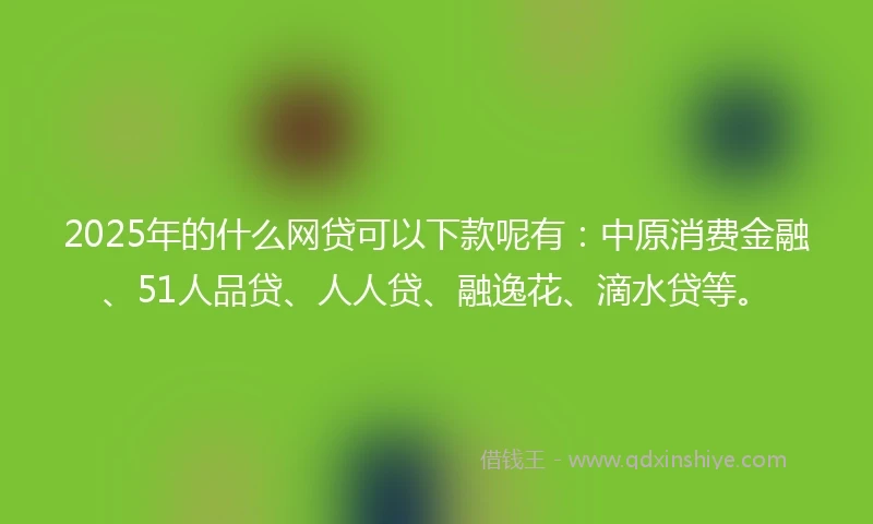 2025年的什么网贷可以下款呢有：中原消费金融、51人品贷、人人贷、融逸花、滴水贷等。