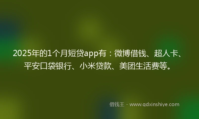 2025年的1个月短贷app有：微博借钱、超人卡、平安口袋银行、小米贷款、美团生活费等。