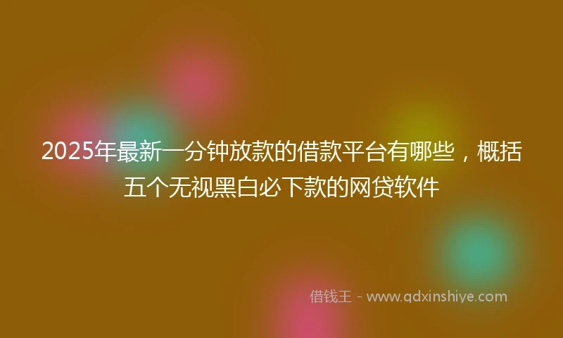 2025年最新一分钟放款的借款平台有哪些，概括五个无视黑白必下款的网贷软件