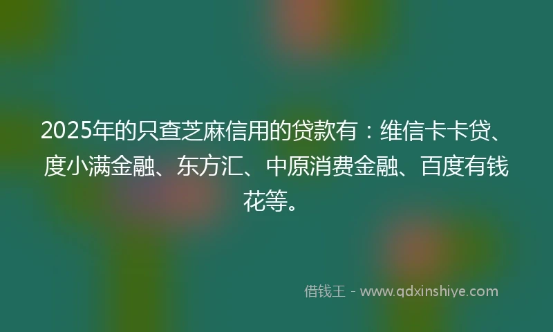 2025年的只查芝麻信用的贷款有：维信卡卡贷、度小满金融、东方汇、中原消费金融、百度有钱花等。