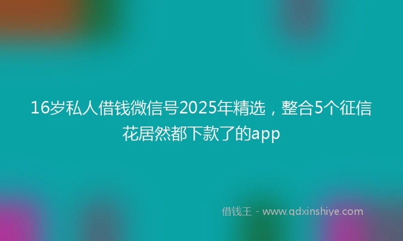 16岁私人借钱微信号2025年精选，整合5个征信花居然都下款了的app