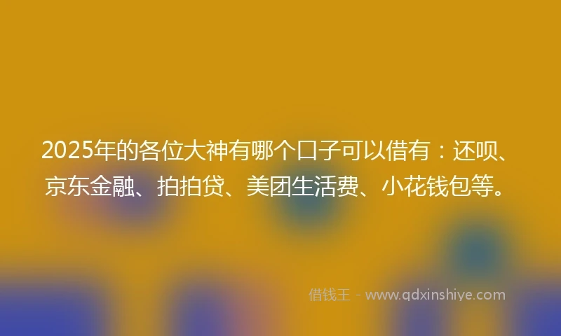2025年的各位大神有哪个口子可以借有：还呗、京东金融、拍拍贷、美团生活费、小花钱包等。