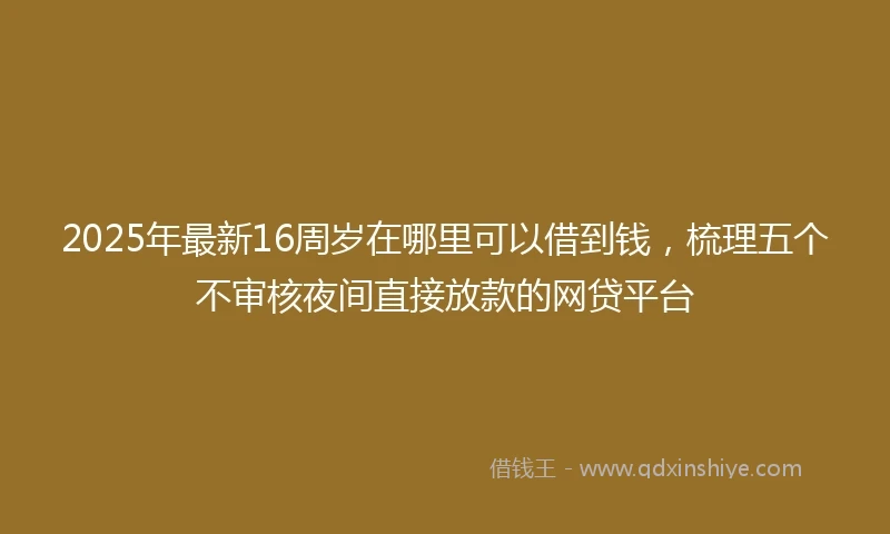 2025年最新16周岁在哪里可以借到钱，梳理五个不审核夜间直接放款的网贷平台