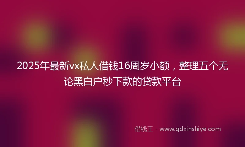 2025年最新vx私人借钱16周岁小额，整理五个无论黑白户秒下款的贷款平台