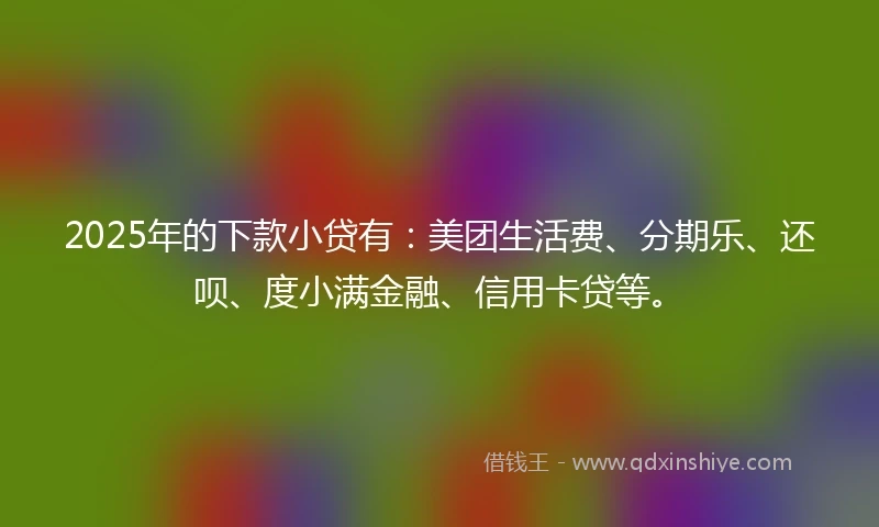 2025年的下款小贷有：美团生活费、分期乐、还呗、度小满金融、信用卡贷等。