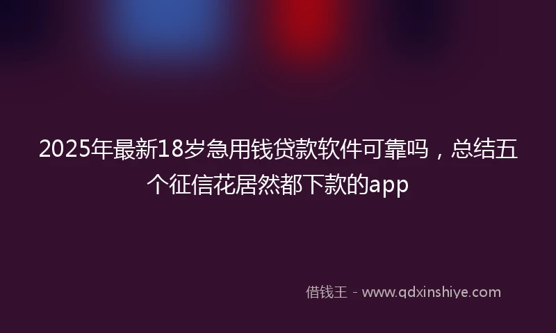 2025年最新18岁急用钱贷款软件可靠吗，总结五个征信花居然都下款的app