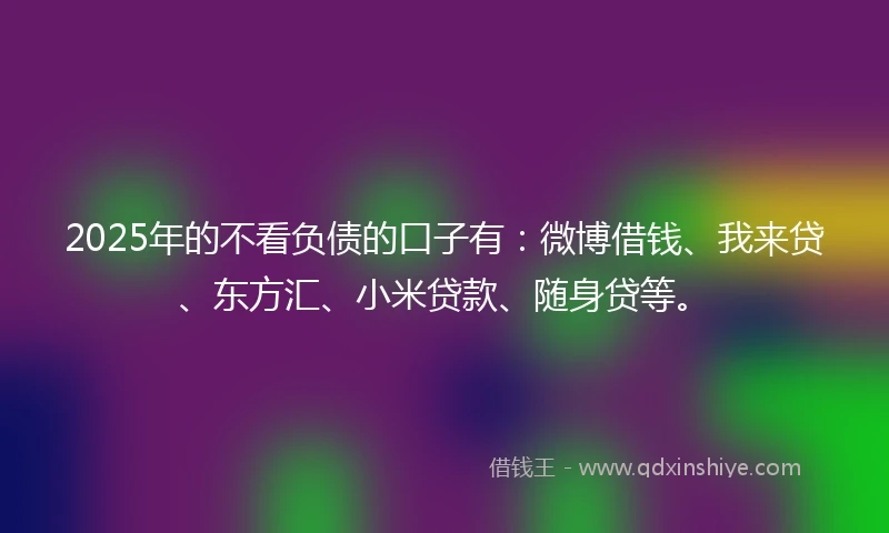 2025年的不看负债的口子有：微博借钱、我来贷、东方汇、小米贷款、随身贷等。