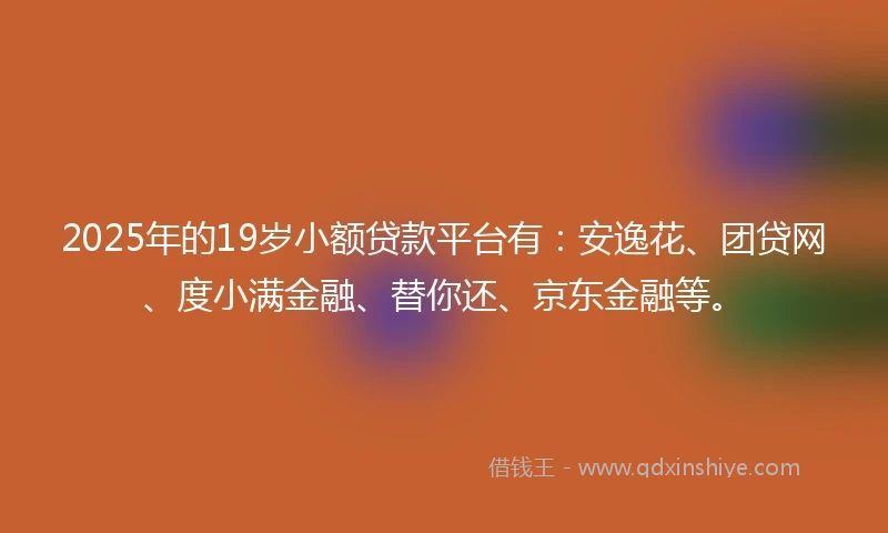 2025年的19岁小额贷款平台有：安逸花、团贷网、度小满金融、替你还、京东金融等。