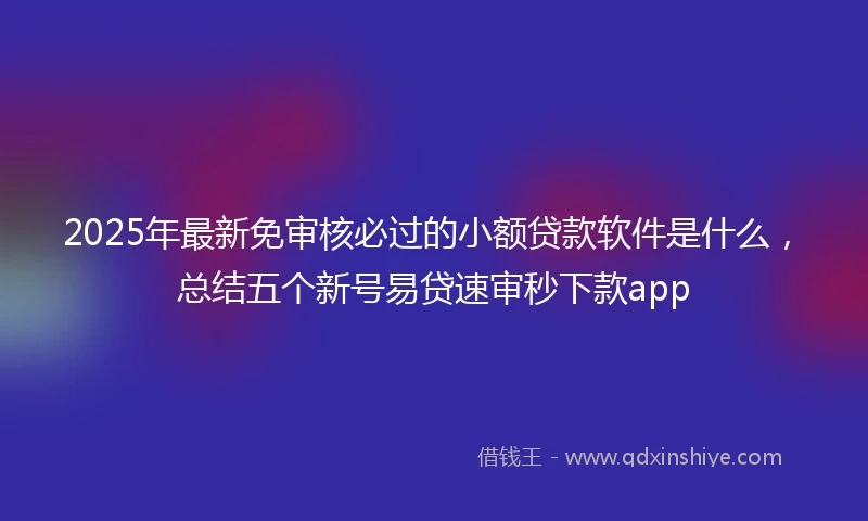 2025年最新免审核必过的小额贷款软件是什么，总结五个新号易贷速审秒下款app