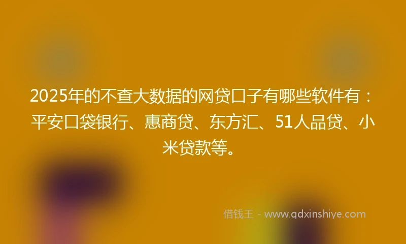 2025年的不查大数据的网贷口子有哪些软件有：平安口袋银行、惠商贷、东方汇、51人品贷、小米贷款等。