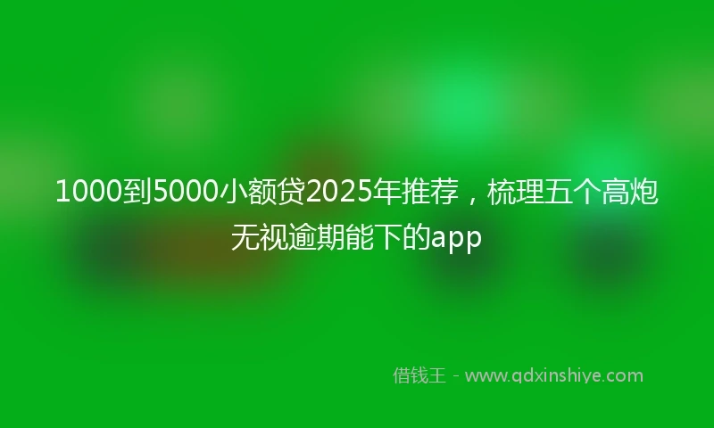 1000到5000小额贷2025年推荐，梳理五个高炮无视逾期能下的app