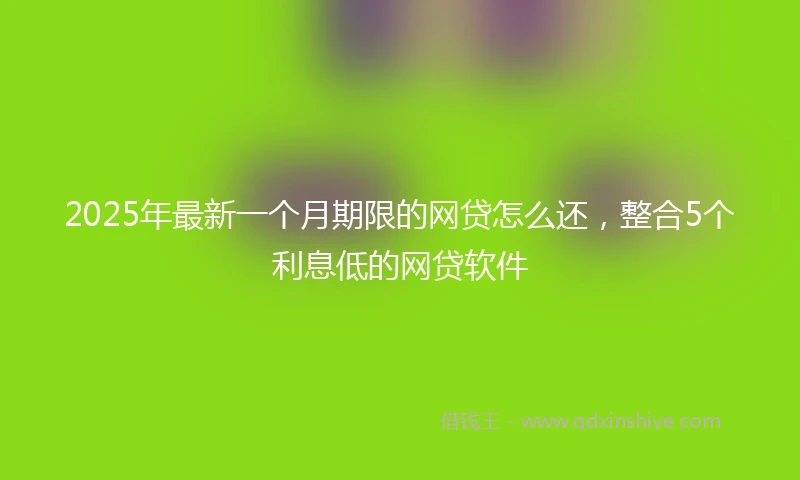 2025年最新一个月期限的网贷怎么还，整合5个利息低的网贷软件