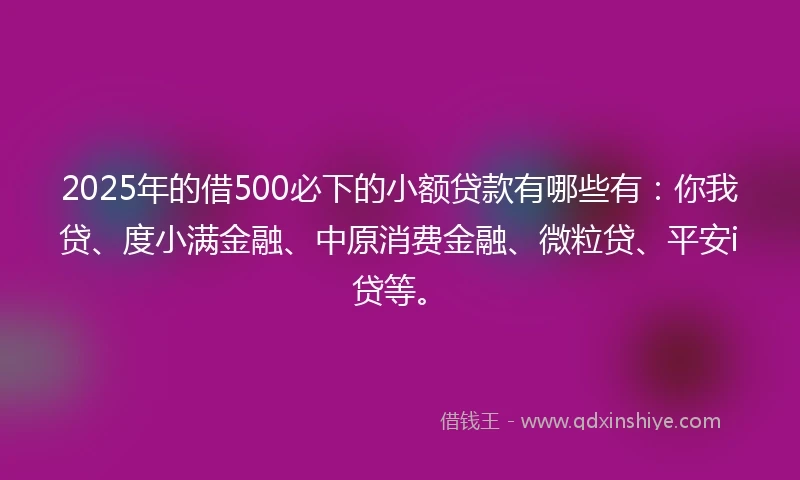 2025年的借500必下的小额贷款有哪些有：你我贷、度小满金融、中原消费金融、微粒贷、平安i贷等。