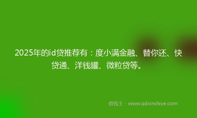 2025年的id贷推荐有：度小满金融、替你还、快贷通、洋钱罐、微粒贷等。